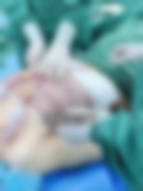 擅长项目详解
