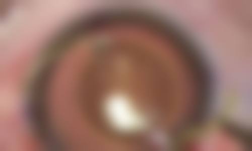 常见问题解答(FAQ)