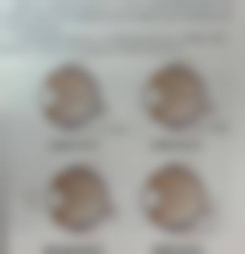 常见问题解答FAQ