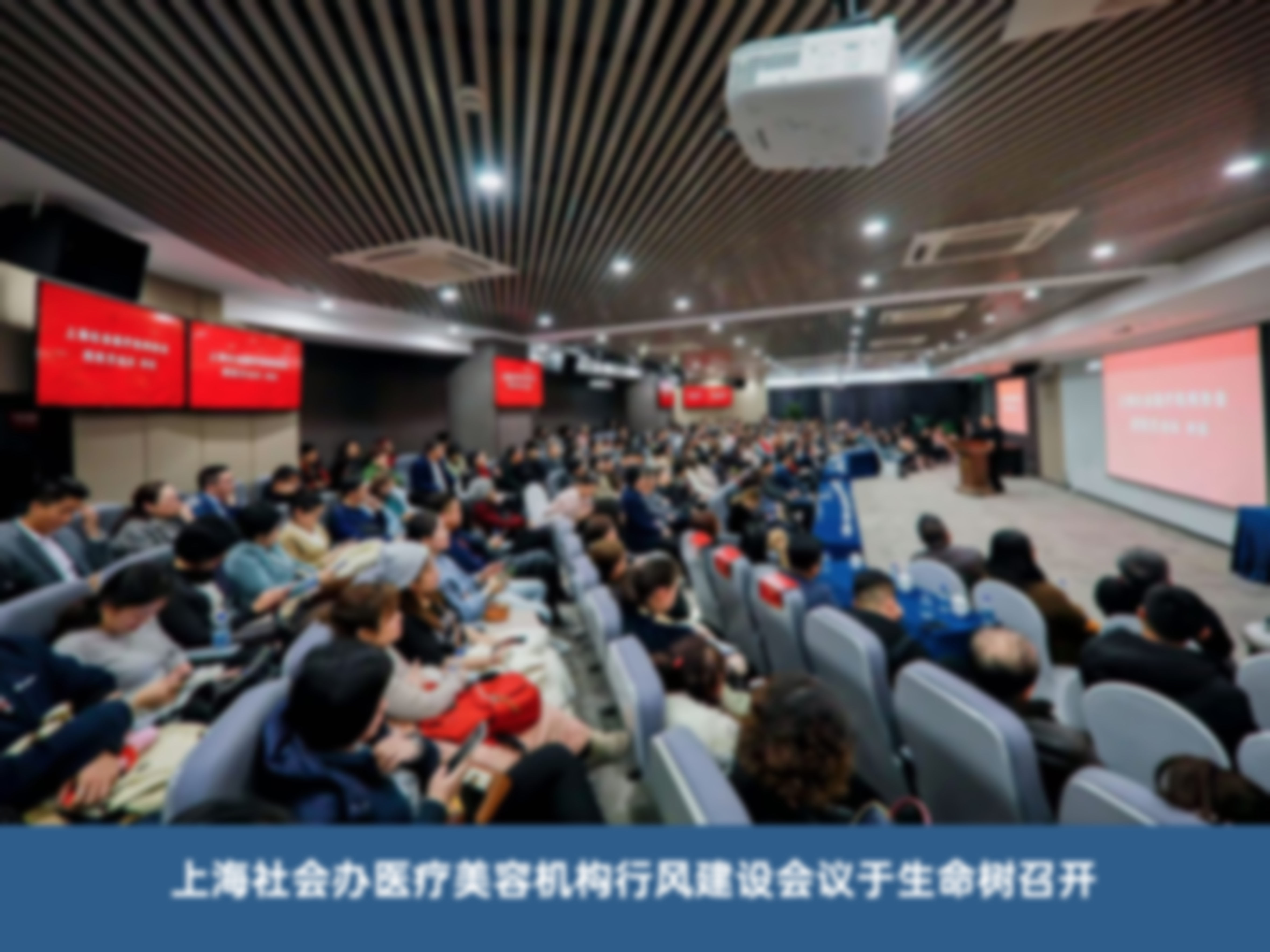 诊疗特色总结:个性化与安心性并重