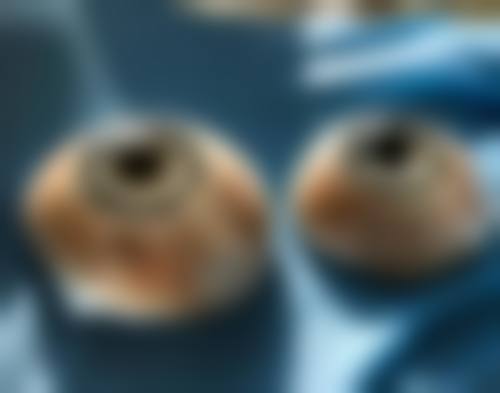 FAQ：常见问题解答