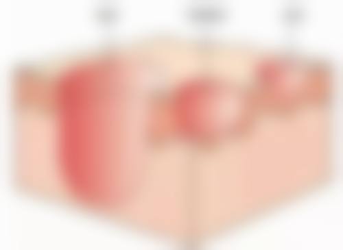 总结与预约指引