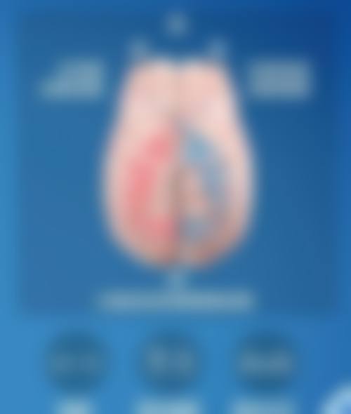 医院资质与实力解析