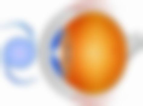 患者真实评价:口碑背后的信任基石