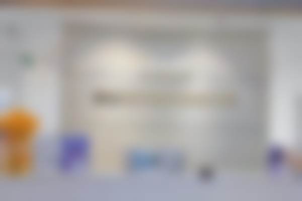 擅长项目详解