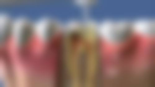 人性化服务流程与便民预约指南