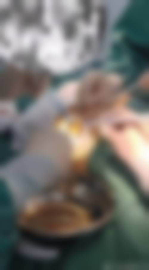 特色项目与技术优势：个性化定制焕新体验