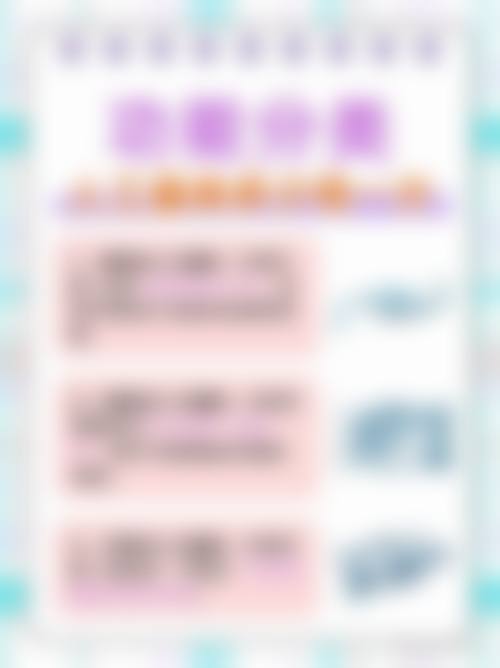 擅长项目详解