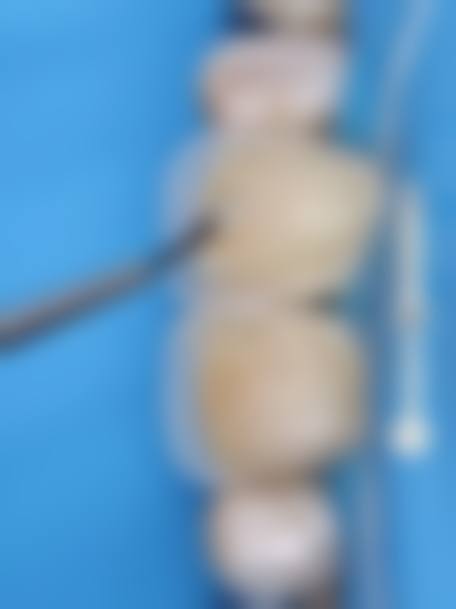 服务项目与价格参考