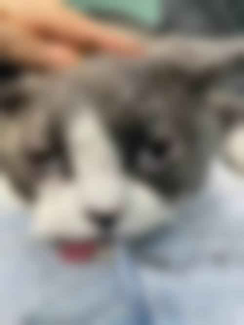 常见问题解答
