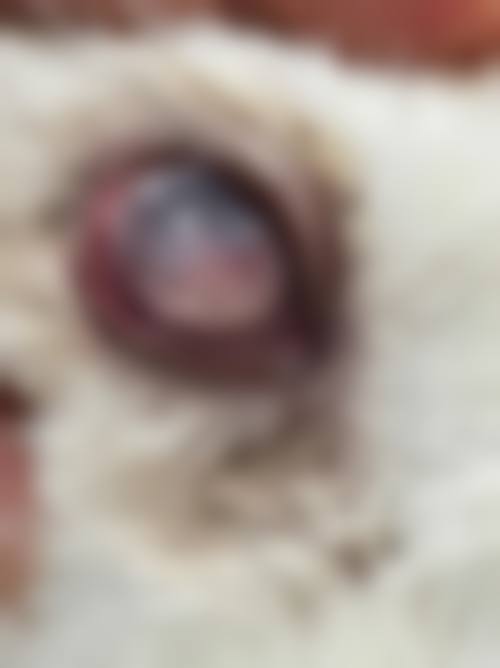预约优惠活动