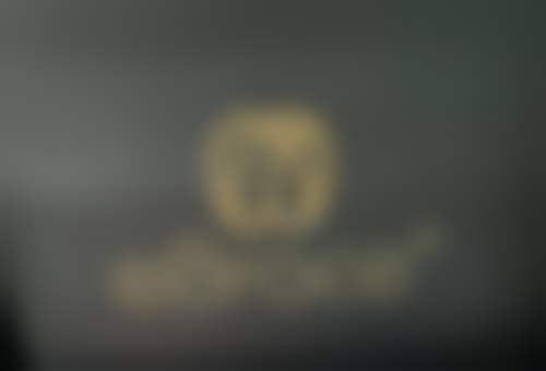 擅长项目详解