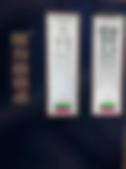 擅长项目详解