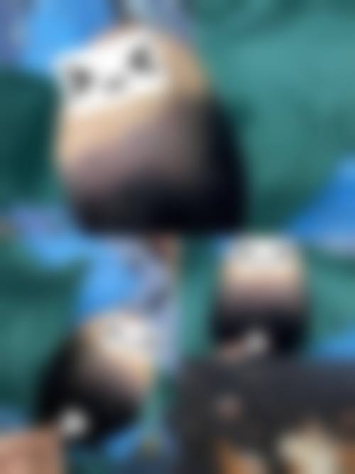 擅长项目详解