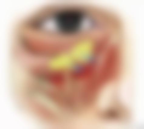 价格透明与优惠活动，助力高性价比变得更美