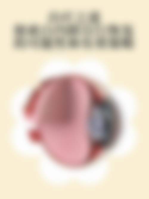 服务流程与优惠活动:透明消费便捷预约