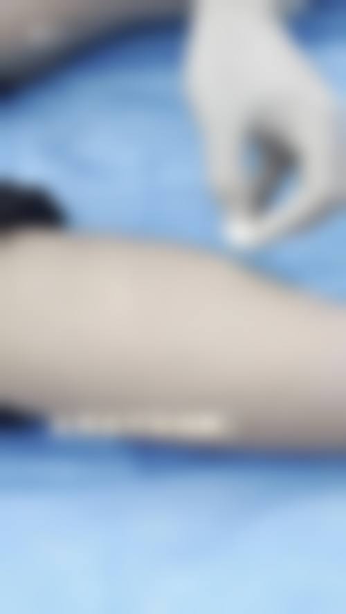 FAQ：常见问题快速解答