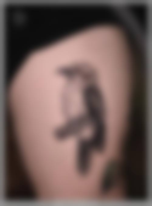 常见问题解答