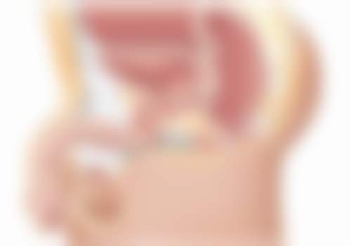 上海德琳医疗美容医院（韩国Dream分院）的王荩医生怎么样？深扒其10年+韩系精细化操作实力，揭秘双眼皮隆鼻真实案例与口碑解析