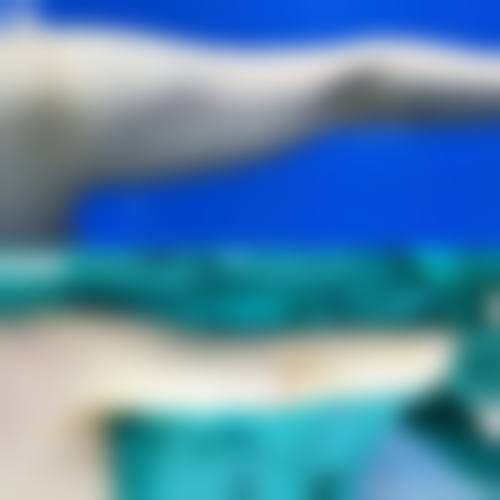 常见问题解答FAQ