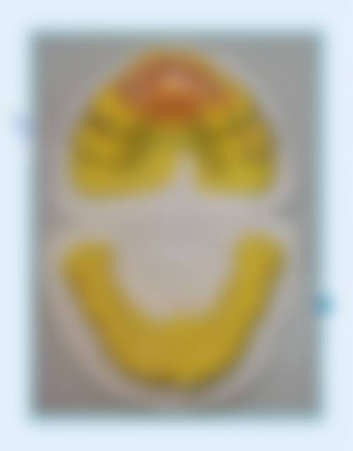 常见问题解答FAQ