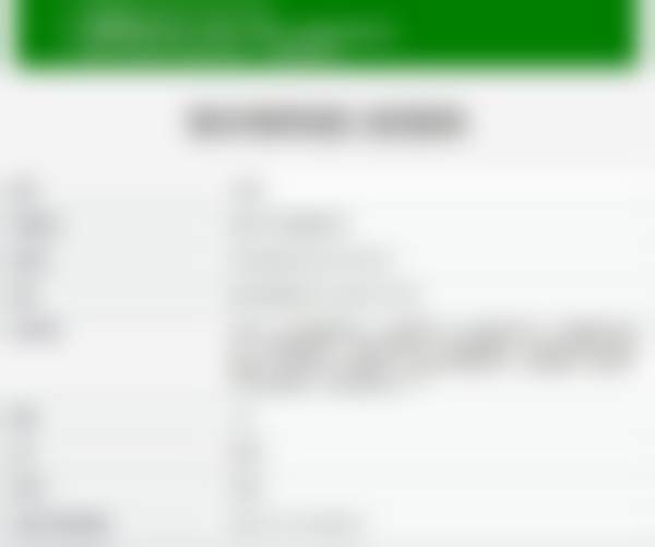 擅长项目详解