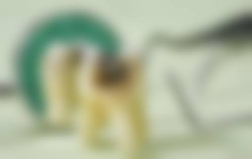 就诊环境与便民服务体验