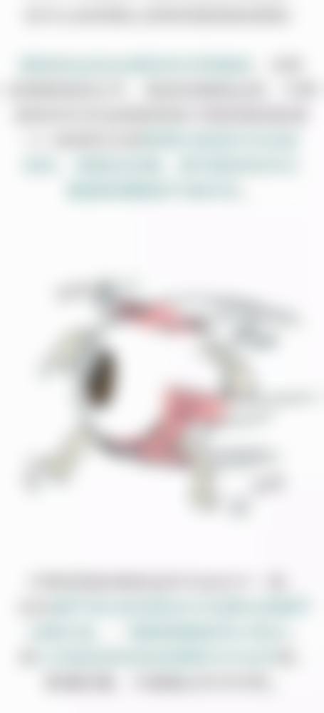 医生资质介绍