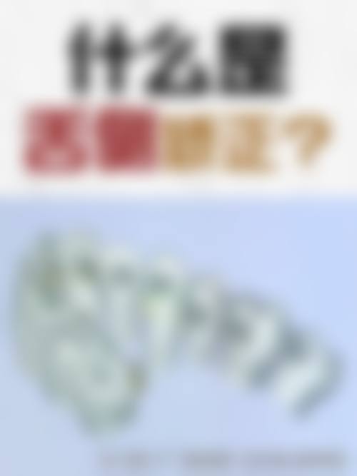擅长项目详解