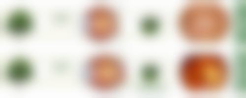 擅长项目详解:精细解决眼部难题