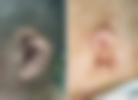 医生资质介绍