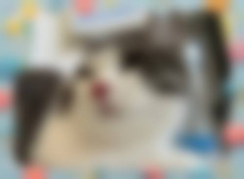 患者真实评价