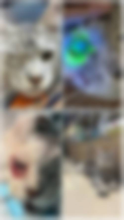 总结与预约建议