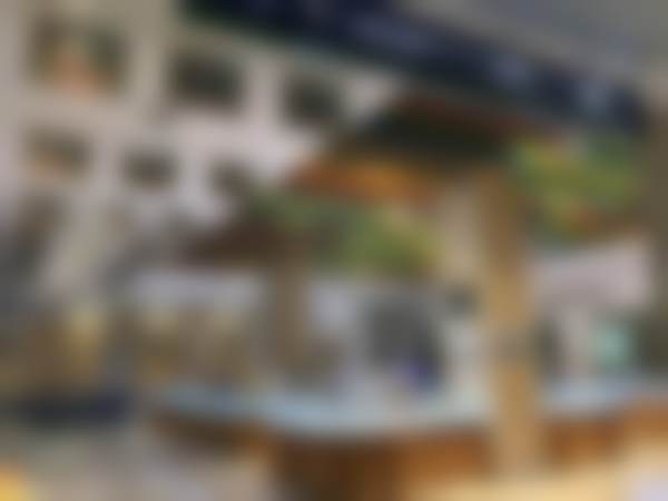 透明价格体系与服务流程详情
